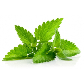 Arôme Menthe poivrée Arôme Menthe poivrée