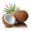 Noix de coco