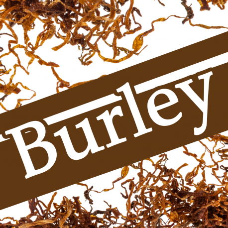 Burley