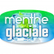 Menthe glaciale